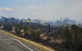 Fire and Emergency on Te Toke Road.