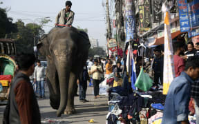 An elephant rider roams at a market to collect money by his elephant in Dhaka , Banlgadesh on January 10, 2023. Estimates say there are about 268 wild elephants left in Bangladesh. Mostly in the border areas with Myanmar and India. Some 100 domesticated are used mainly in the logging industry and several circuses. To see an elephant roam in the street of Dhaka city is a rarity.