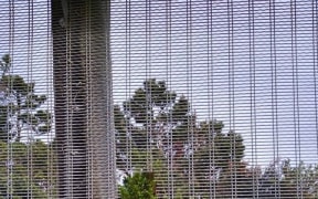 The hole found in the Zealandia predator exclusion fence