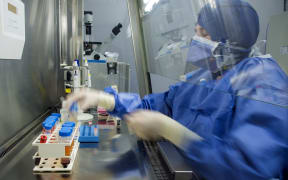 Scientists at the Malaghan Institute working on cancer immunotherapy.