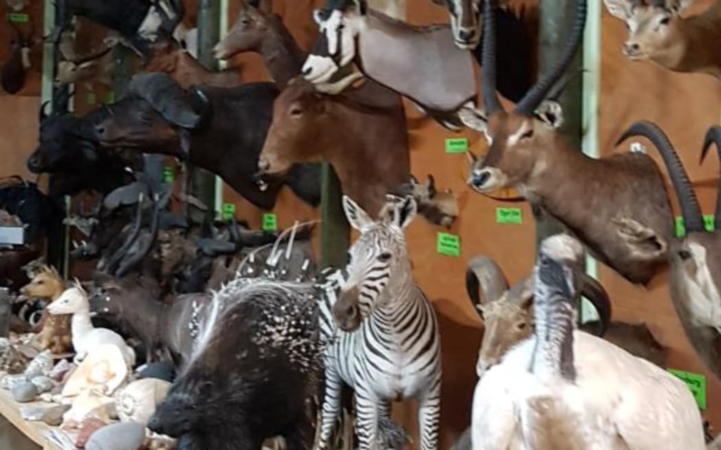 John Ward's Taranaki animal collection
