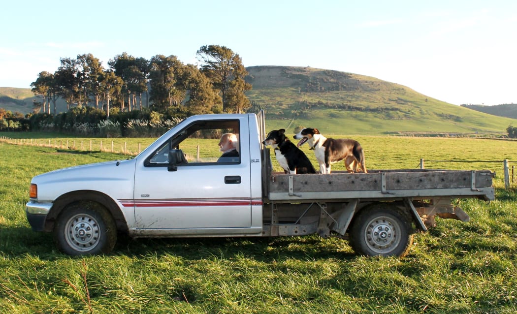 Malcolm Mackenzie and his dogs