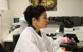Dr Sue Huang at the World Health Organisation's National Influenza Centre in Wellington