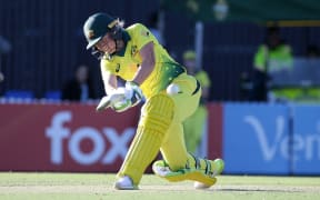 Alyssa Healy