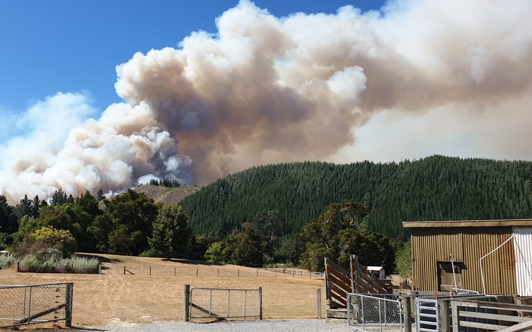 Merv Randle could see the fire at Pigeon Valley from his property soon after it began earlier in 2019.