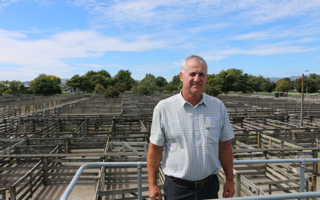 Redshaw Livestock manager Dean Freeman at the Stortford Lodge saleyards in Hastings.