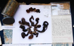 Scientists hope to be able to extract DNA from the hair and match it to living descendants of the Bounty crewmen.