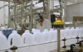 Synlait milk on the production line.