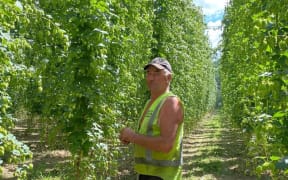 Peter Lines on his hop farm.