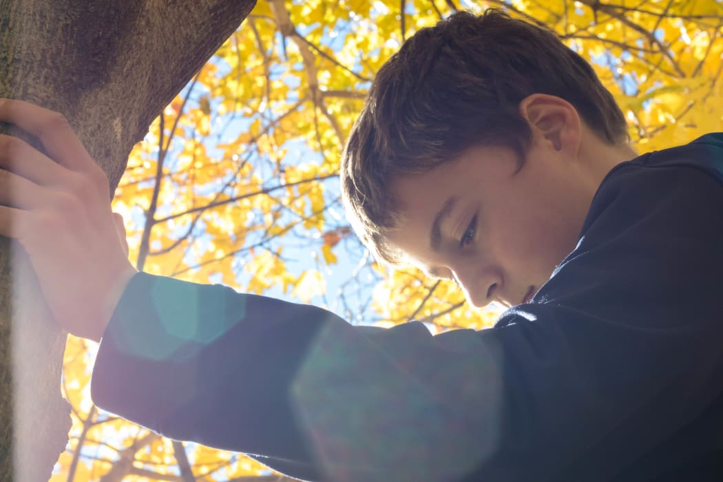 boy thoughtful with tree