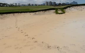 Capybara prints in a sand bunker at the Rio 2016 Olympics golf course.