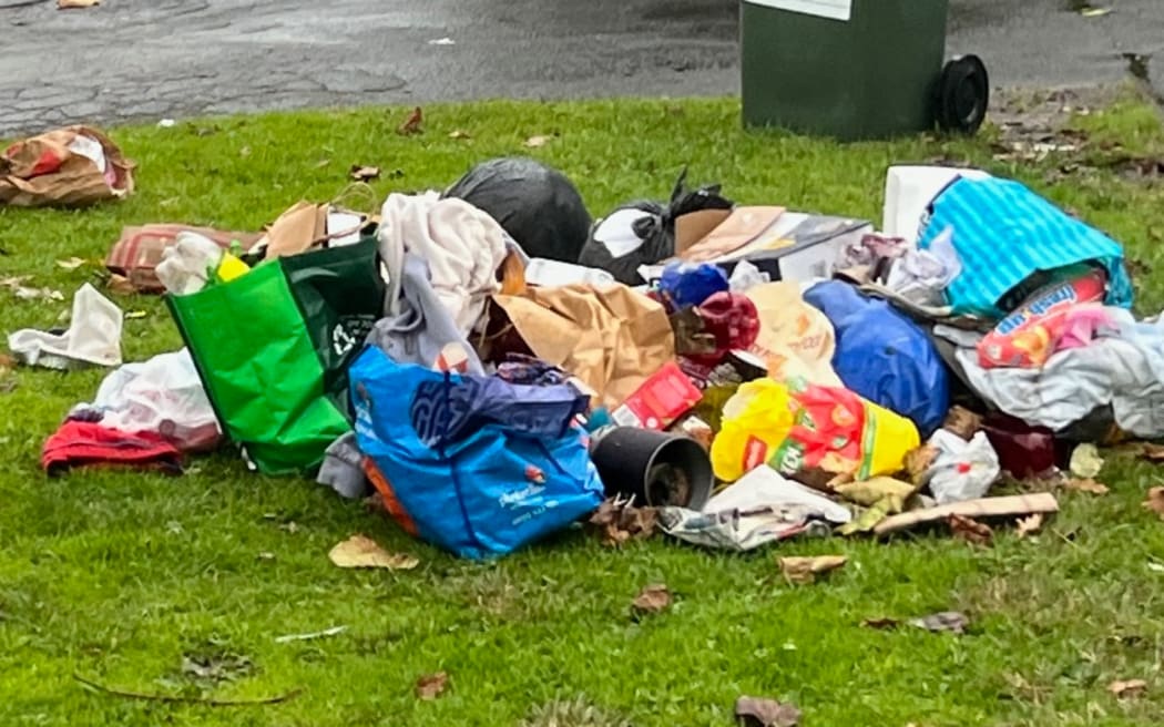 Rubbish in Waikato.