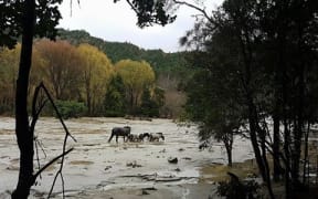 Torrential rain caused flooding in Tolaga Bay