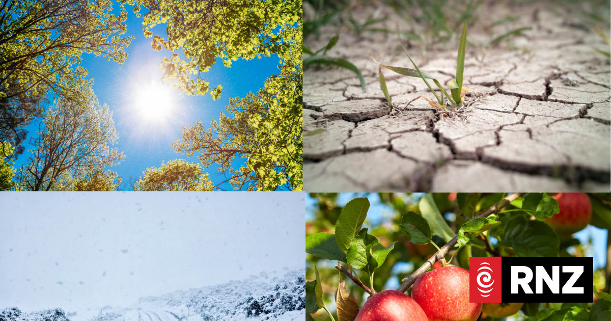 Drought, unpicked apples, and freezing winters: El Niño's greatest hits