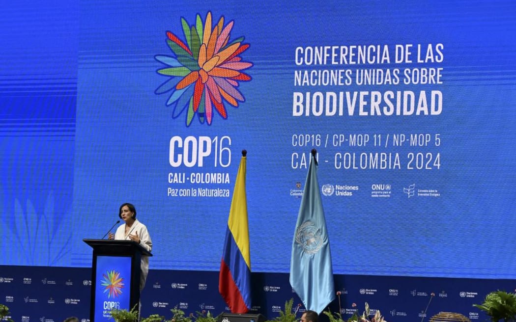 COP16