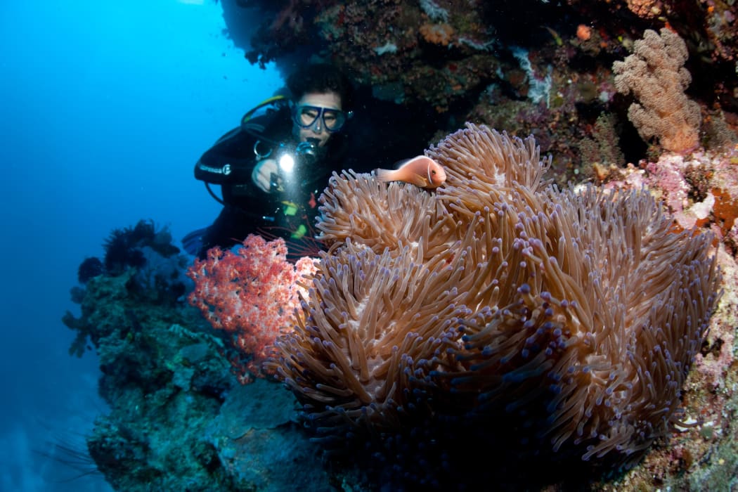 Great Barrier Reef
