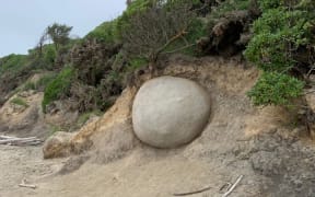Boulders at Moeraki.