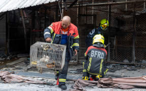 A firefighter carries injured chickens in a cage following a fire at a pet market next to Chatuchak market in Bangkok on June 11, 2024. A fire ripped through pet shops next to Bangkok's famed Chatuchak market early June 11, killing caged dogs, cats, birds and snakes, and damaging more than 100 stalls, police said.