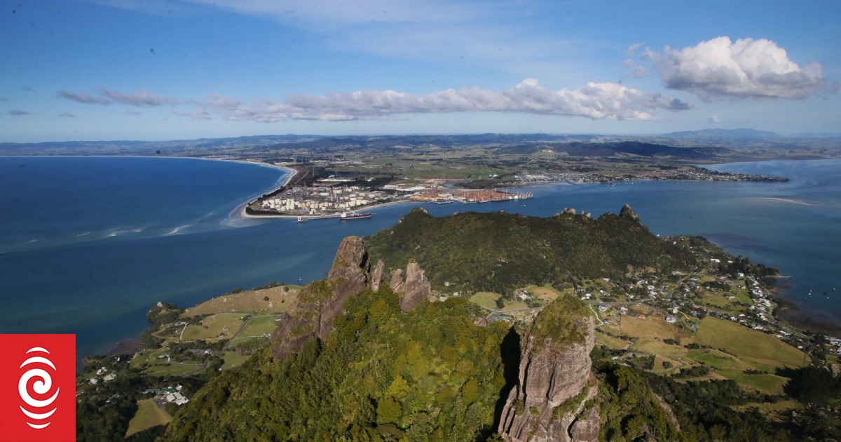 Landmark case: Hapu outline the negative impact of Whangārei Harbour's industrial developments - Vimarsana News