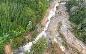Mangahauini Gorge - single use only