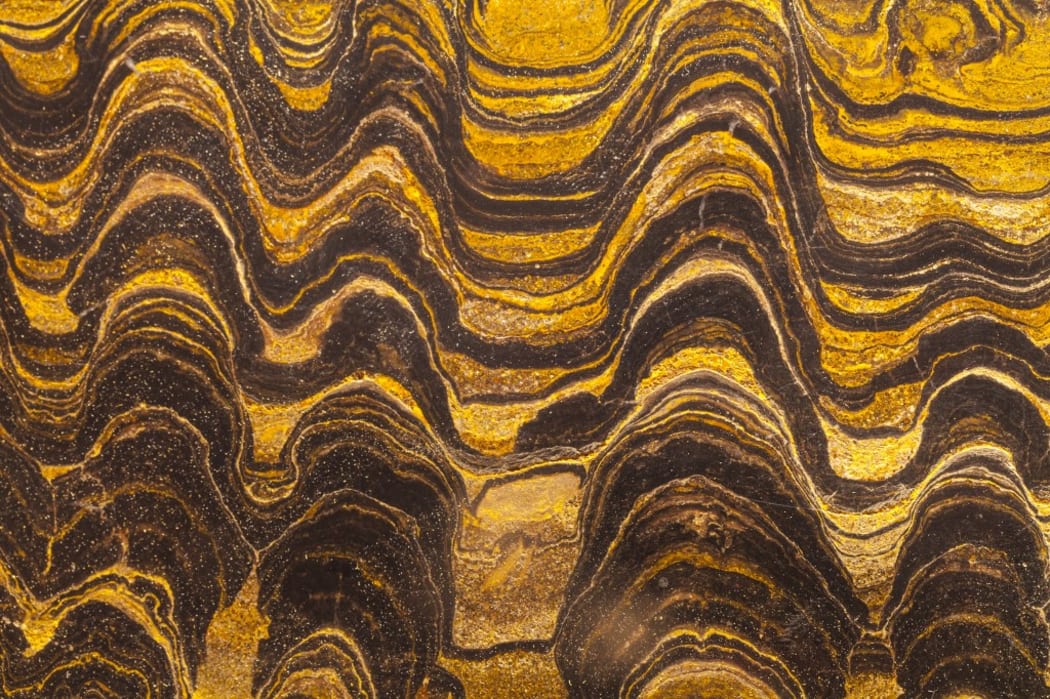JURASSIC MUSEUM OF ASTURIAS COLUNGA COUNCIL 
Stromatolites microorganism fossils Precambian period Spain.

Biosphoto / Juan-Carlos Muñoz (Photo by Juan-Carlos Muñoz / Biosphoto / Biosphoto via AFP)