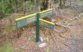 A DOC signs points towards Alpha Hut in Tararua Forest Park