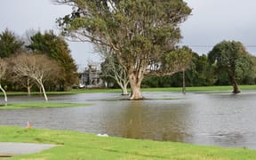 Water filled reserve areas around the skatepark after a pump station was shut down by ants.