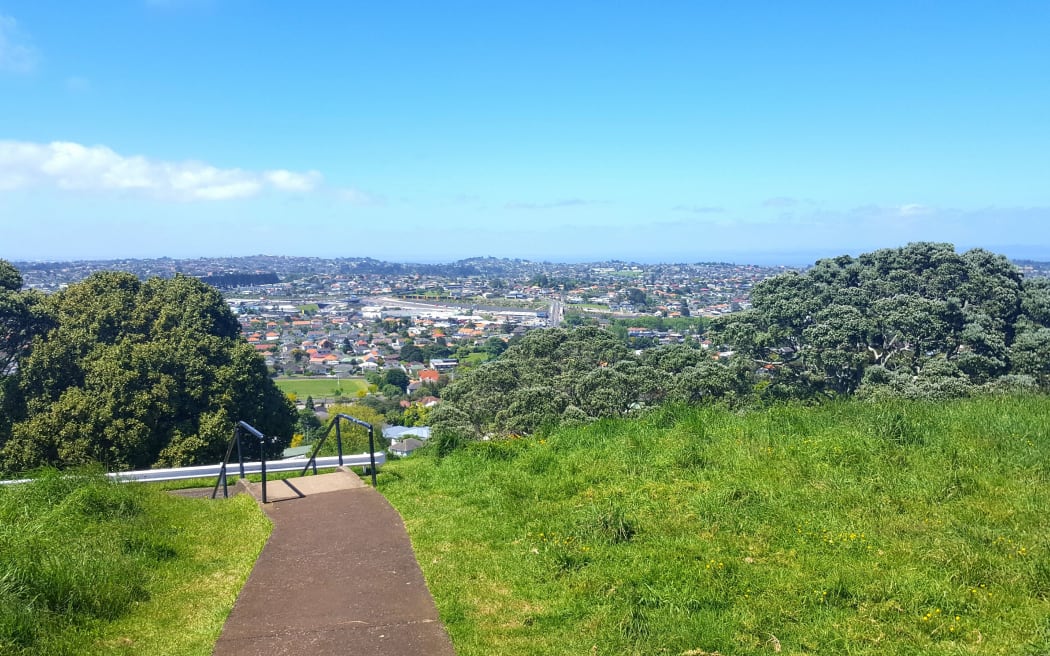 The view from Mount Albert.