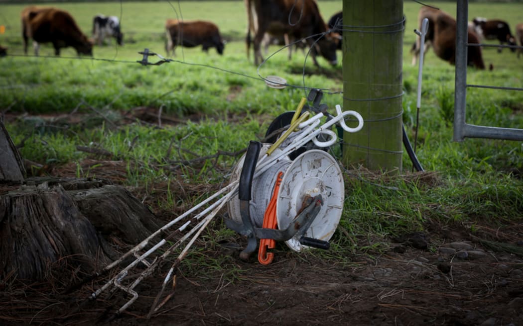 Fencing equipment on an organic farm in the Manawatu.