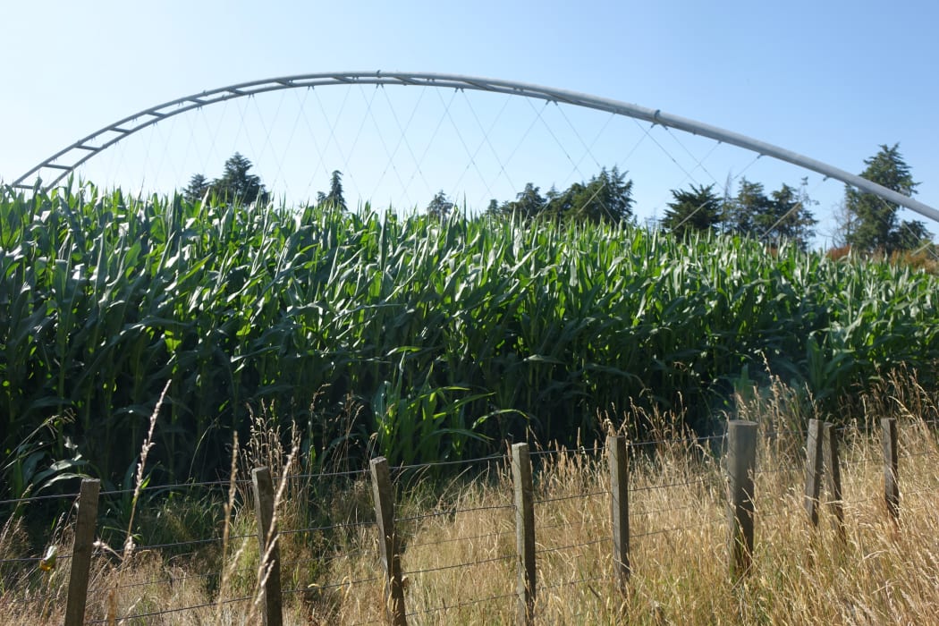 The $2.5 million Upokongaro Cycle Bridge has been sitting in a paddock since late 2018.