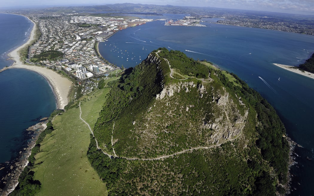 image of Aerial photo Mount Maunganui


BTG 11Nov17 -