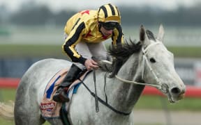 David Walker riding Khemosabi to win the Premier Open Race 4 at Riccarton Park, Christchurch in 2013.