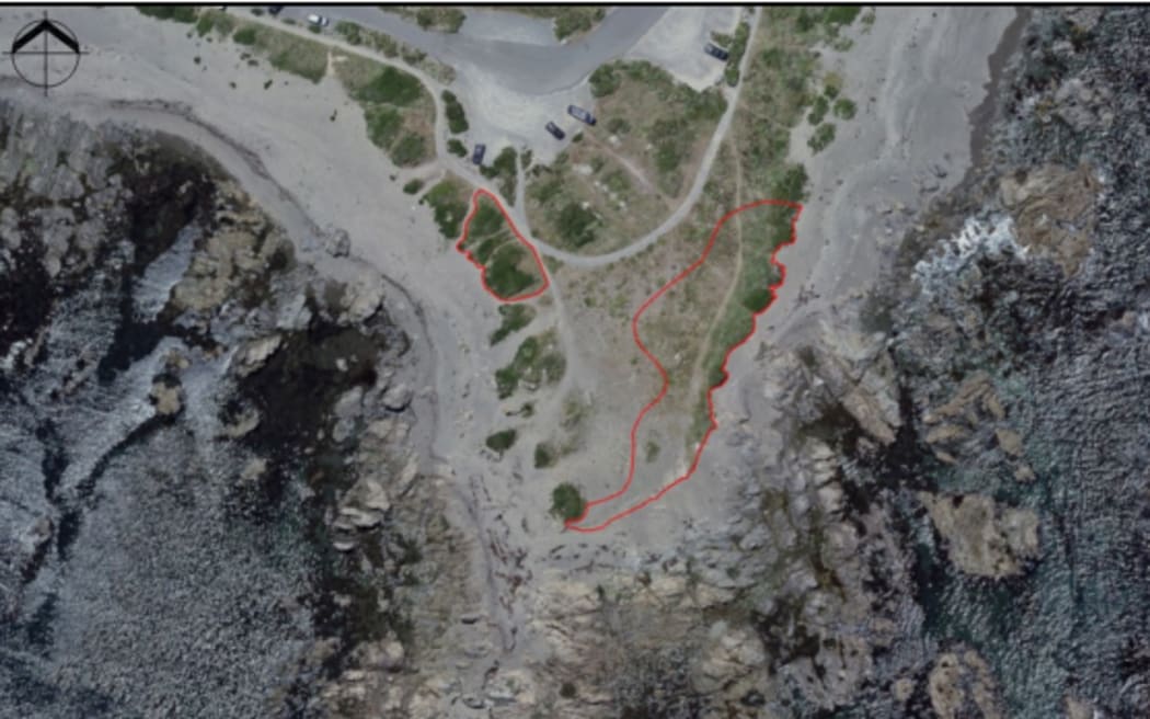 Map of Te Raekaihau Point, with the red lines showing the dumping site.