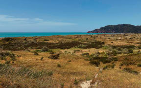 Iwi are fighting to stop a resource consent to turn this land in Whakatane, which is wahi tapu, into a suburb featuring a retirement village.
