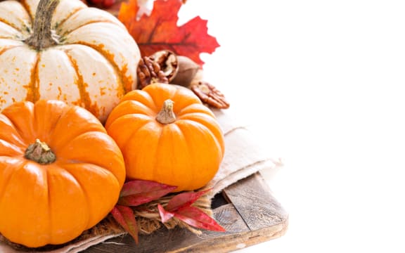 Pumpkin still life  with nuts and spices isolated on white