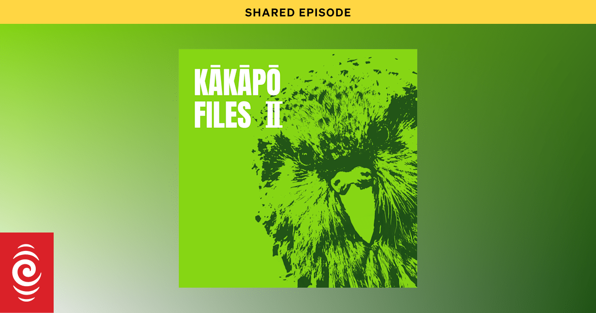 Kākāpō Dads Revealed Episode Of Kākāpō Files Ii Rnz