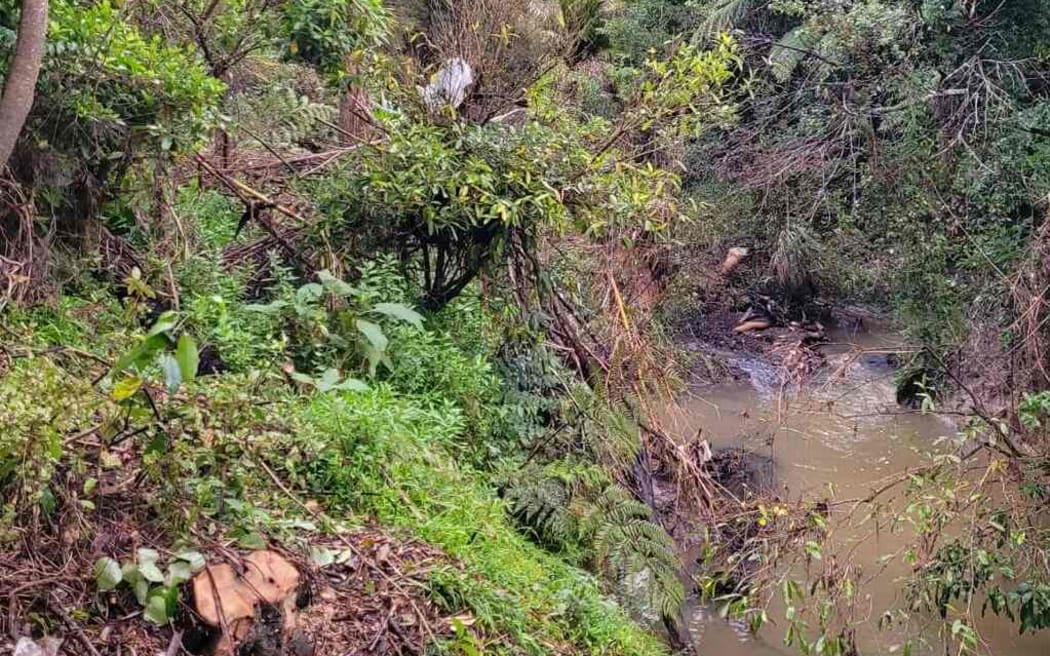 Joe Young has spent 400 hours cleaning up a 200 metre section of the Waimoko Stream with a few of his neighbours.