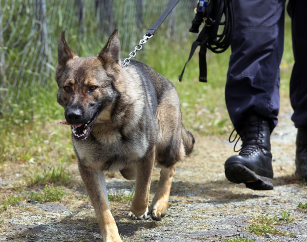 Police dog training