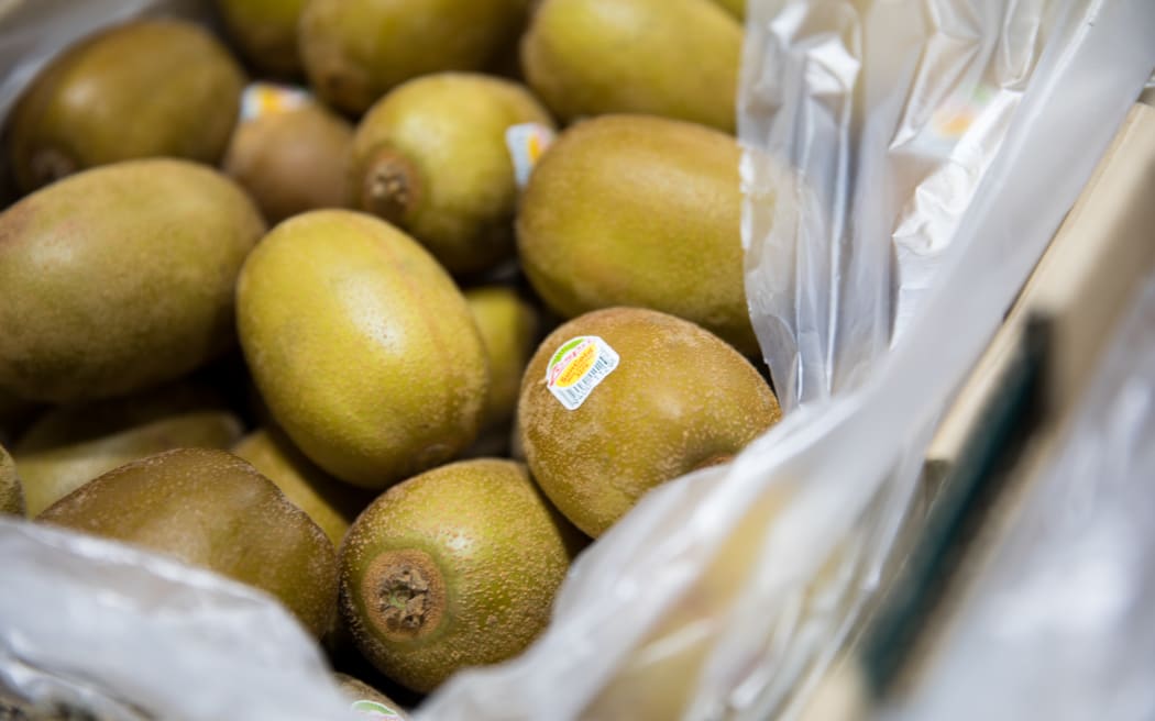 Gold kiwifruit sit amongst the fresh produce at T&G (Turners & Growers) in Mt Wellington, Auckland