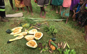 Villagers display their failed crops in the drought affected Mougulu area of PNG's Western Province.