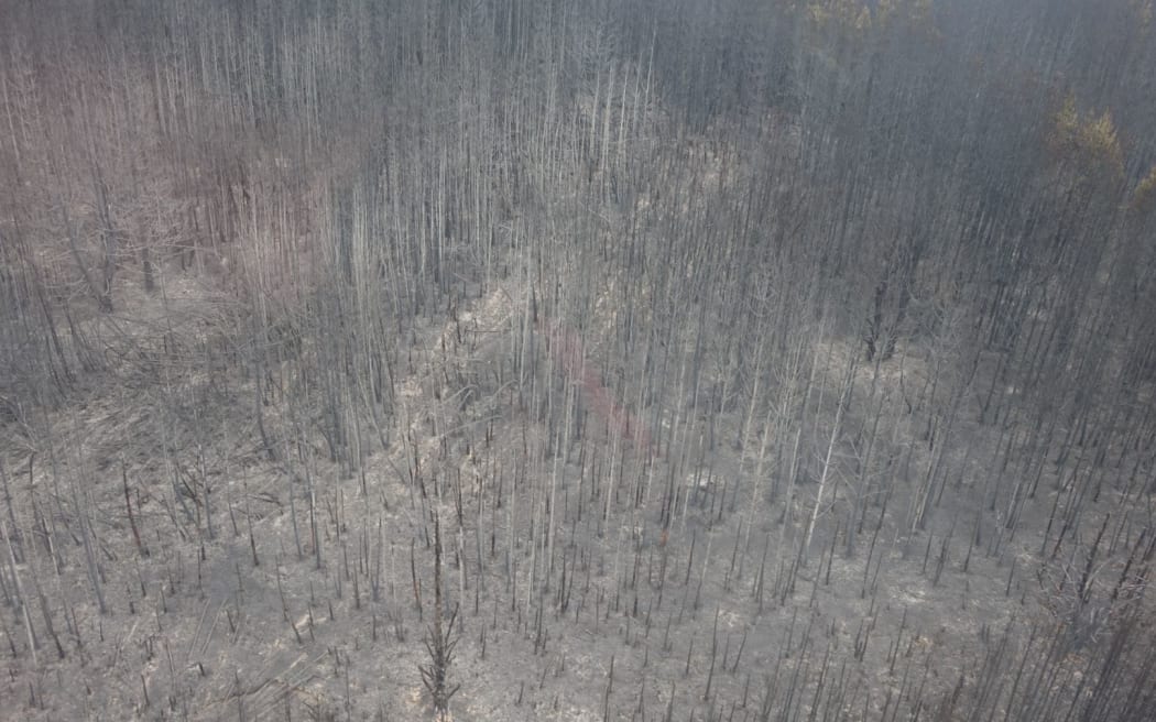 More than 300 hectares of land has been burned.