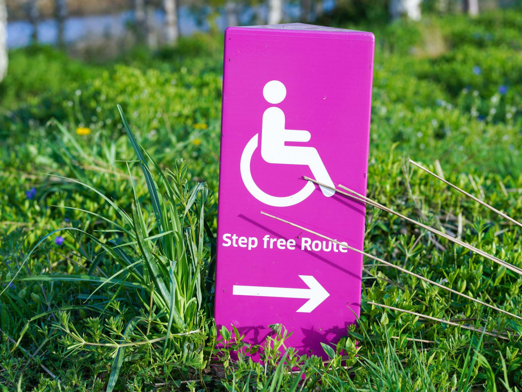 disability, wheelchair,