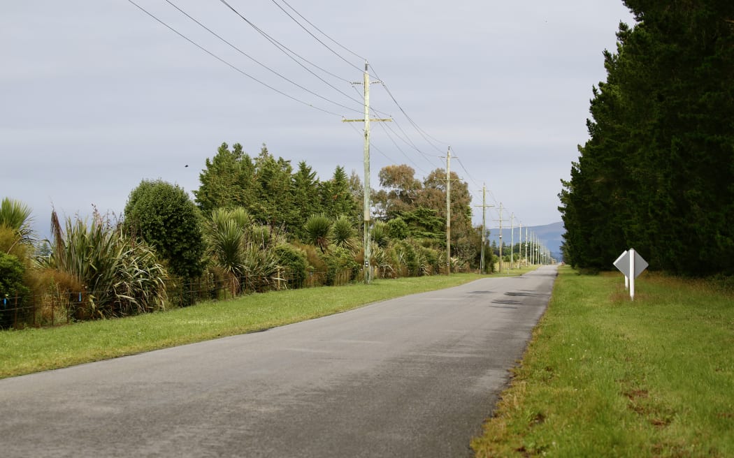 A native hedgerow and exotic shelterbelt planted alongside a Canterbury road