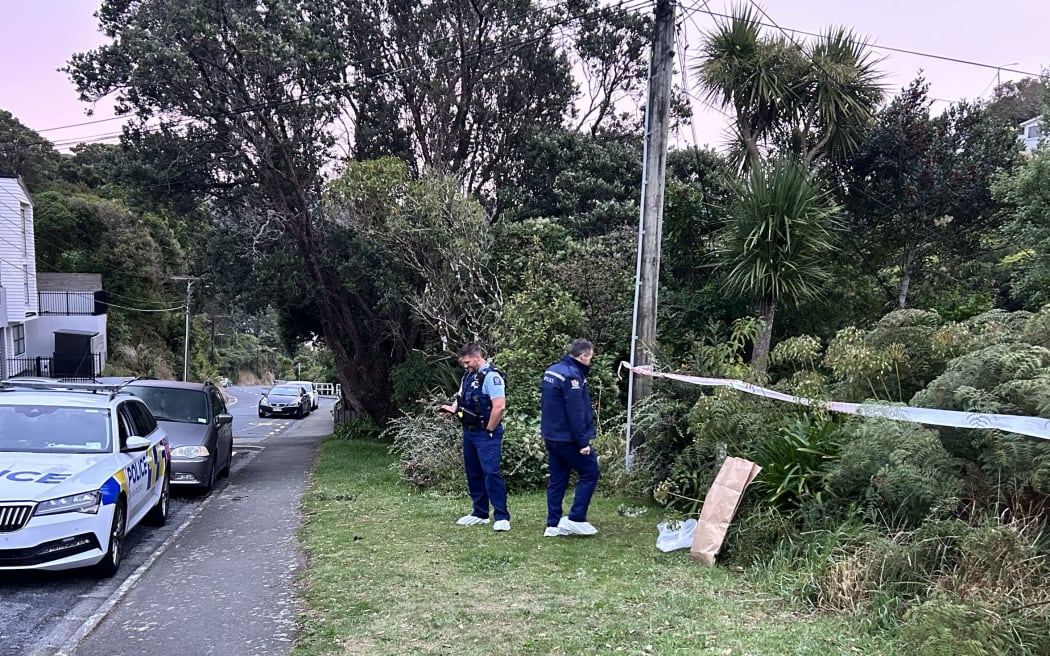 Wellington police at the scene in Albemarle Road, Northland, where a man was found dead outside a property on Tuesday 1 April 2025.