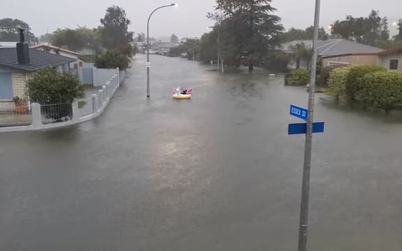 A man paddles an inflatable unicorn up the road, on Essex Street, Napier.
