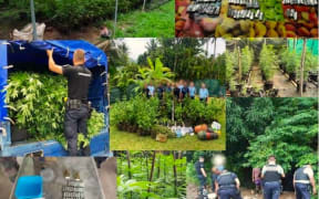 A vast anti-drugs operation was deployed from 5 to 8 December in French Polynesia (PICTURE Gendarmerie)
