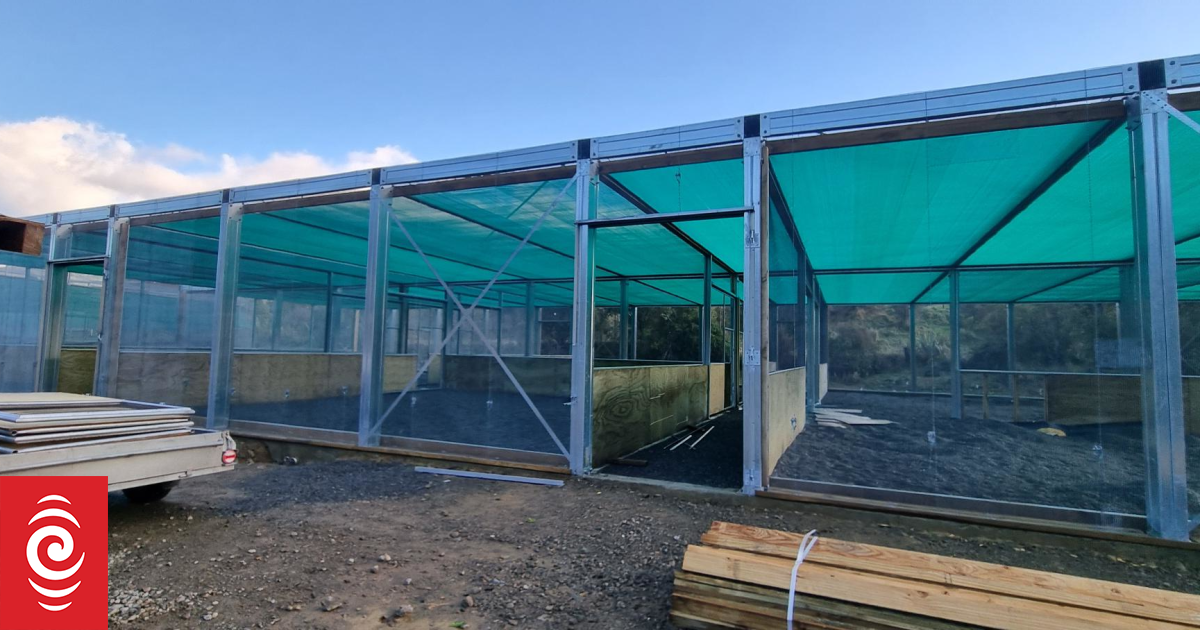 Engineering firm strips doors off Pūkaha aviary after $245,000 bill unpaid for months