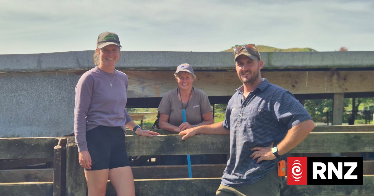 Country Life: Technograzing and virtual fences on a Taranaki farm