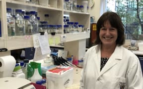 Tina Edgar, the Tate lab technician, stands by her lab bench which is full of glass bottles, plastic racks, desktop machines (centrifuge) and a Styrofoam box with samples in it.