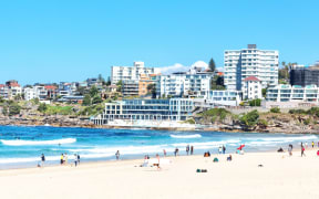 in  australia people in  bondie  beach and the resort near ocean